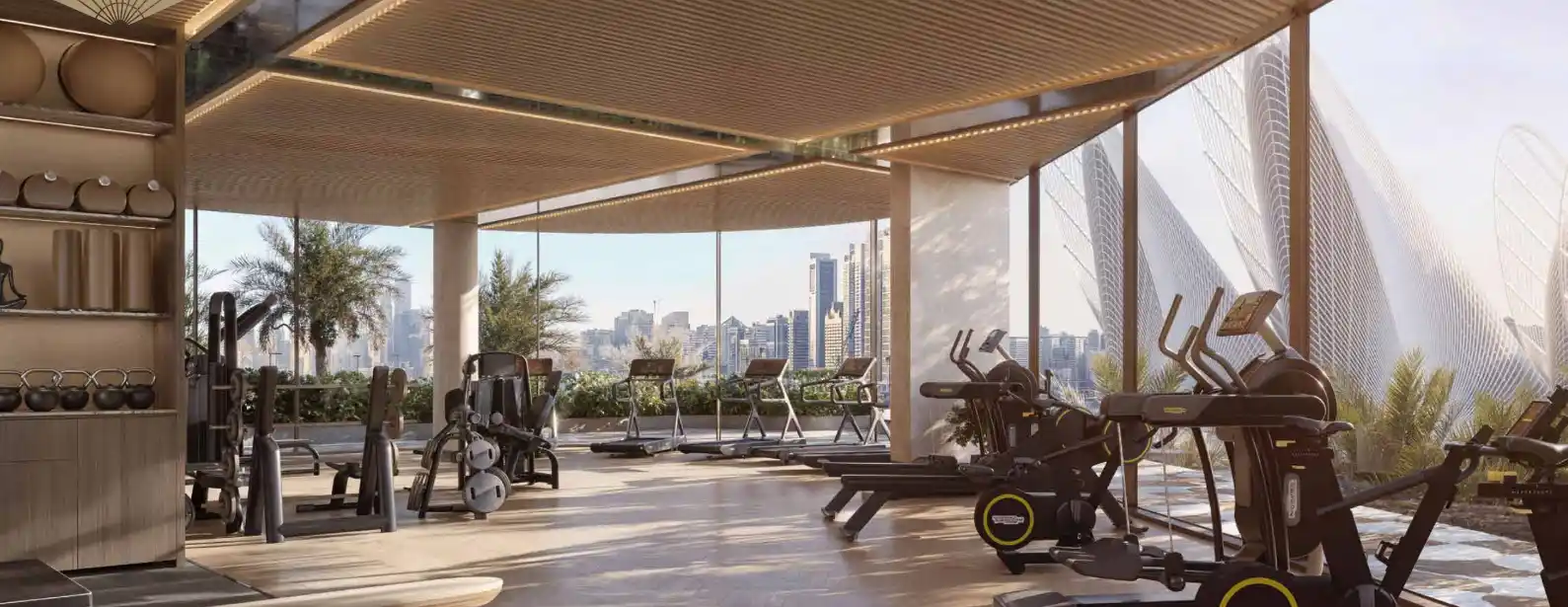 Mandarin Oriental Gym